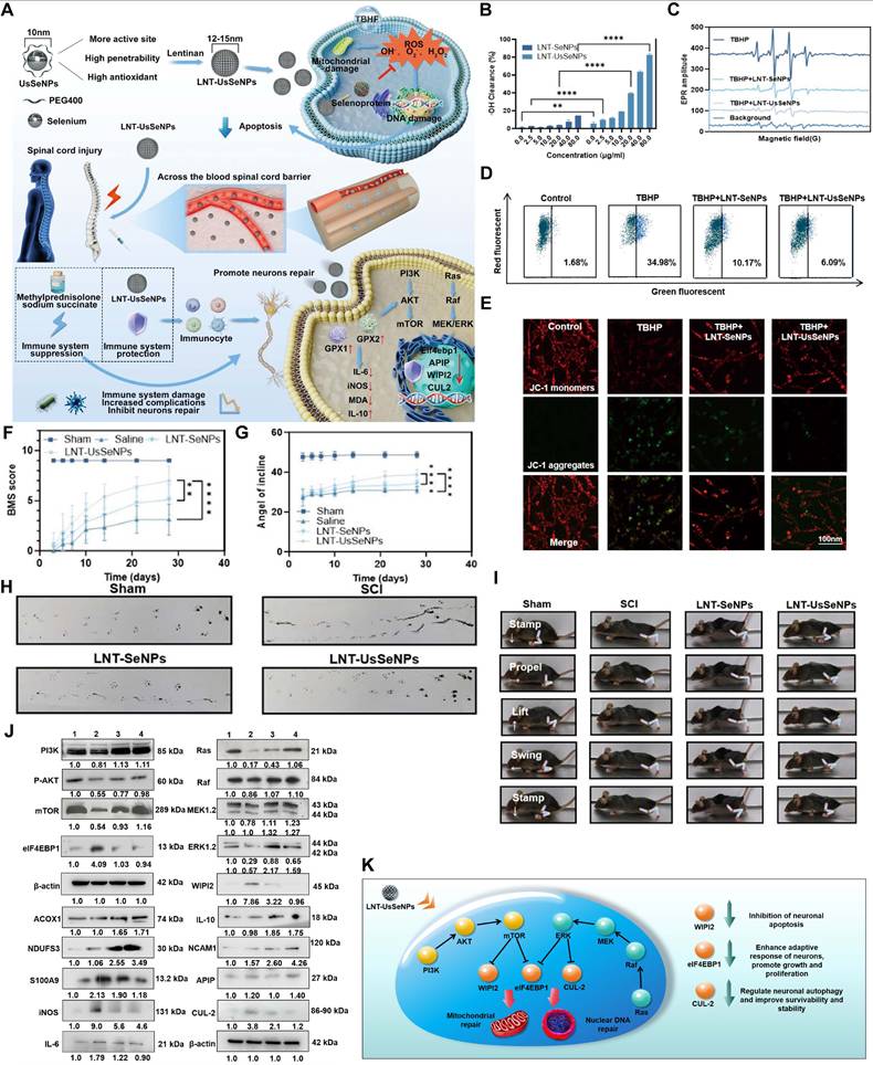 Theranostics Image