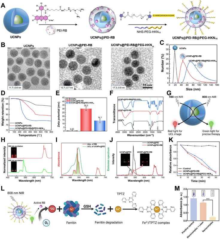 Theranostics Image