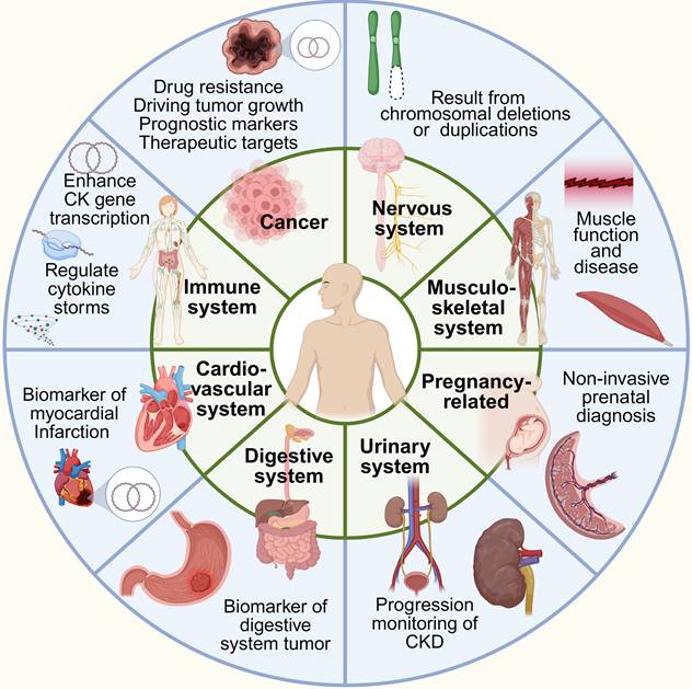 Theranostics Image