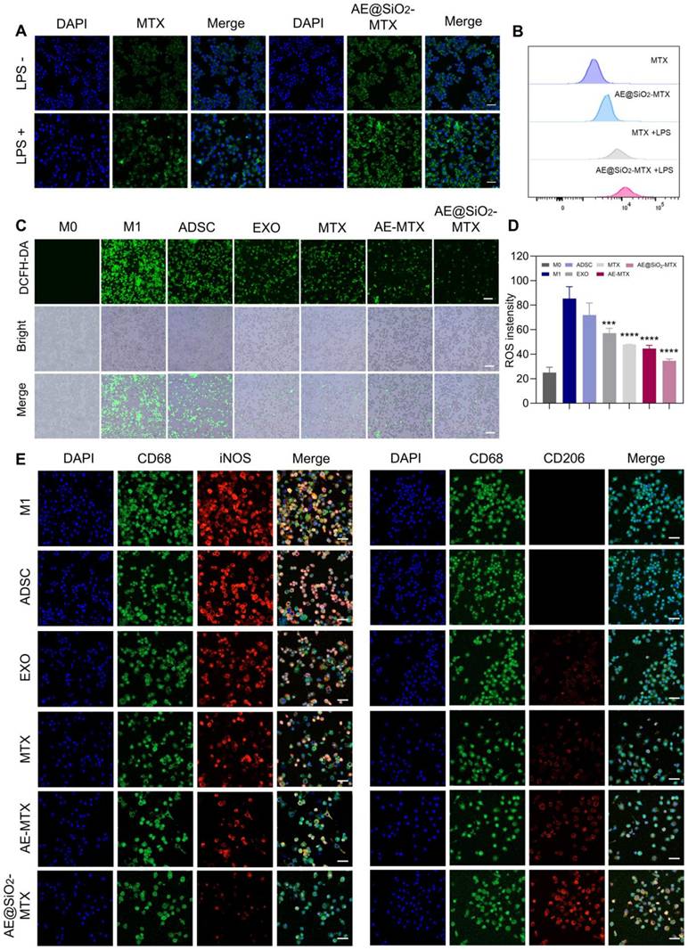 Theranostics Image