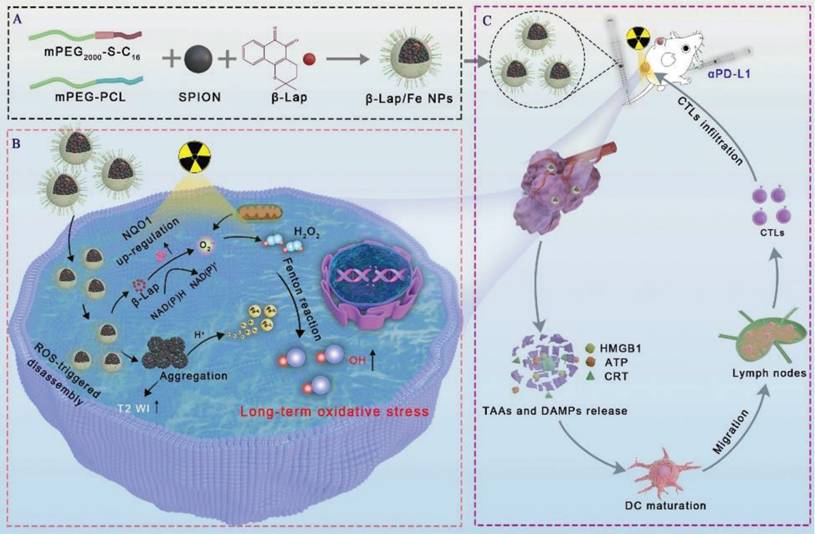 Theranostics Image