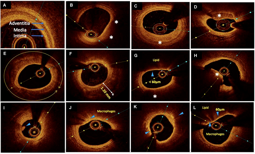 Theranostics Image