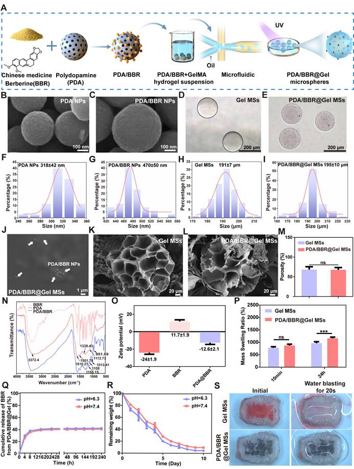 Theranostics Image