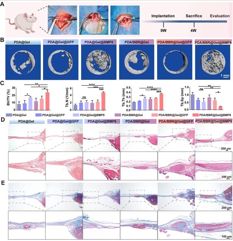Theranostics Image