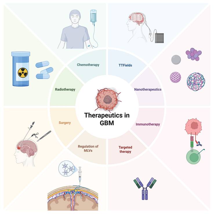 Theranostics Image