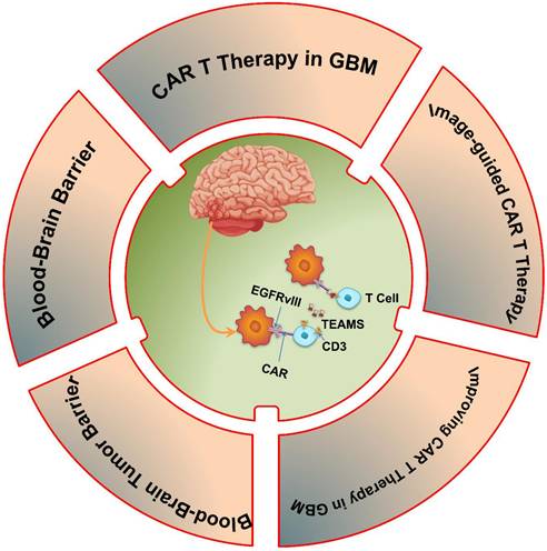 Theranostics Image