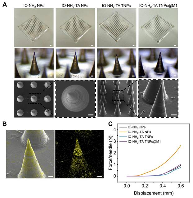 Theranostics Image