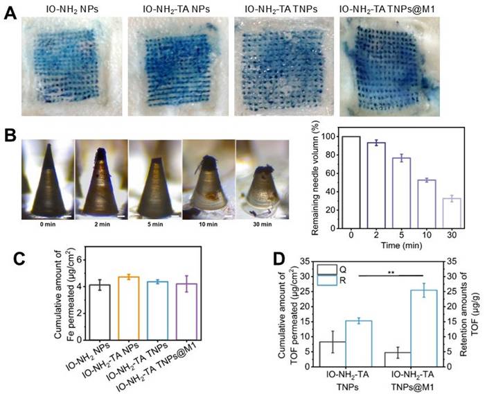 Theranostics Image