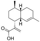 Theranostics inline graphic