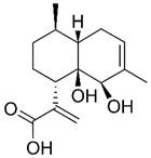 Theranostics inline graphic