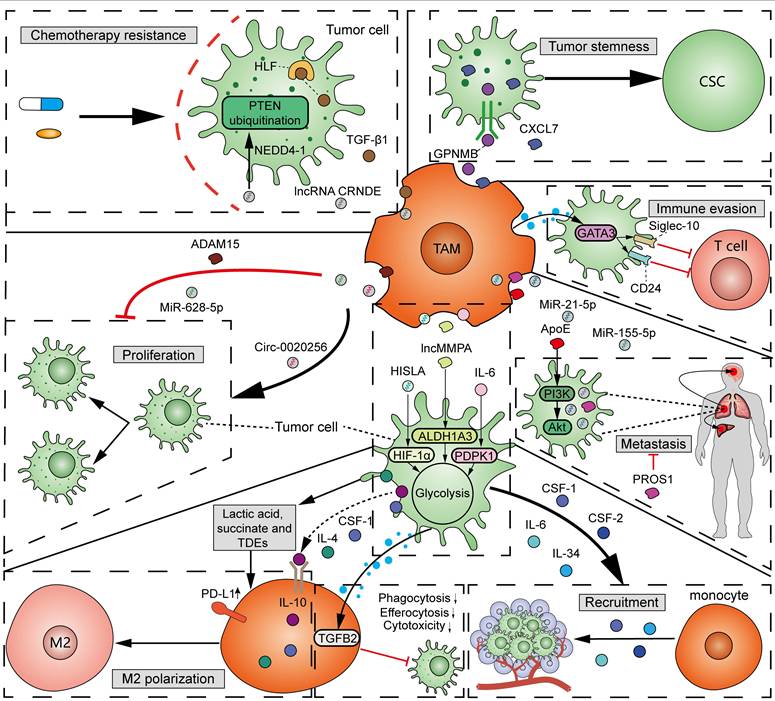 Theranostics Image