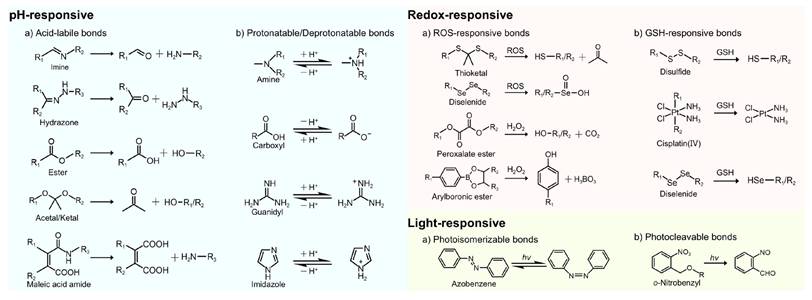 Theranostics Image