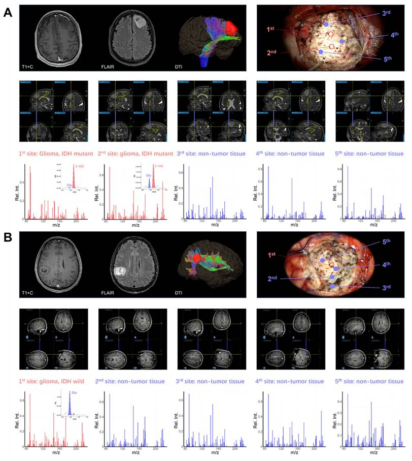 Theranostics Image