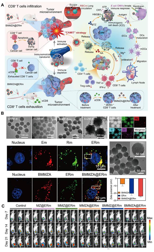 Theranostics Image