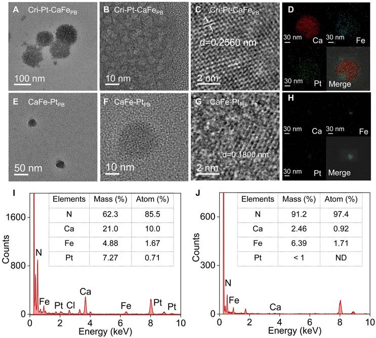 Theranostics Image