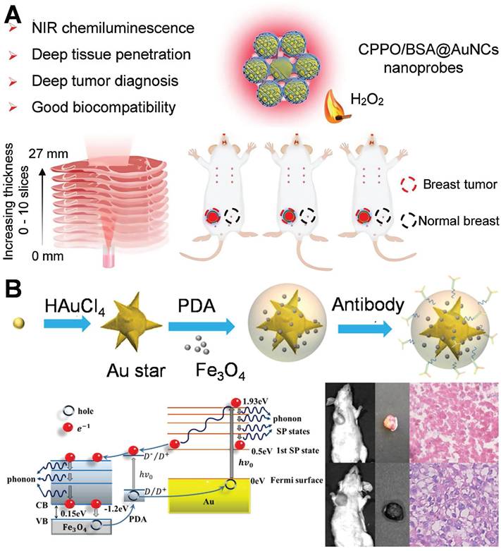 Theranostics Image