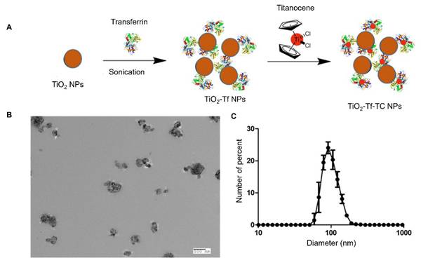 Theranostics Image