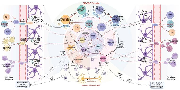 Theranostics Image