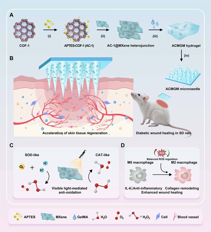 Theranostics Image