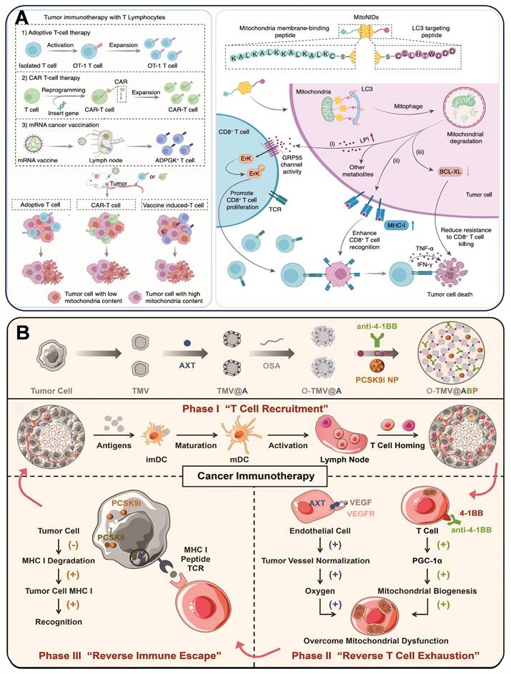 Theranostics Image