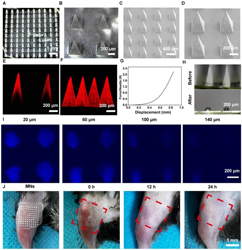 Theranostics Image