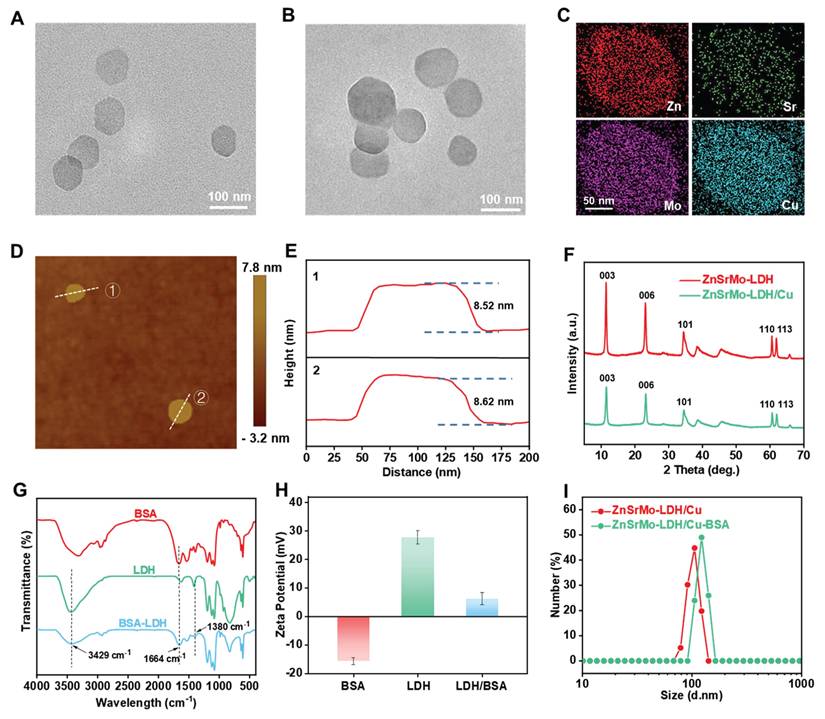 Theranostics Image