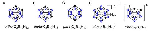 Theranostics Image