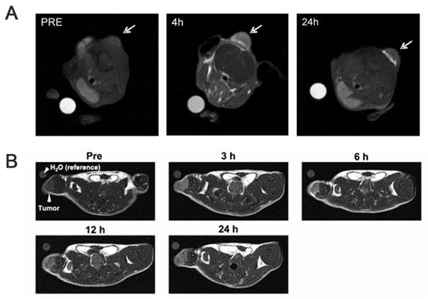 Theranostics Image