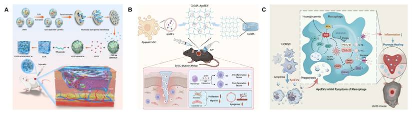 Theranostics Image