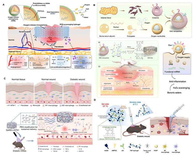 Theranostics Image