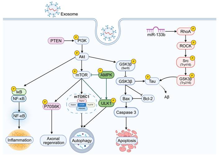 Theranostics Image