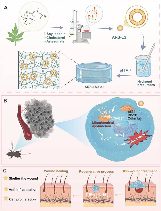 Theranostics Image