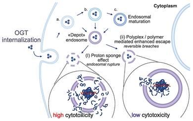 Theranostics Image
