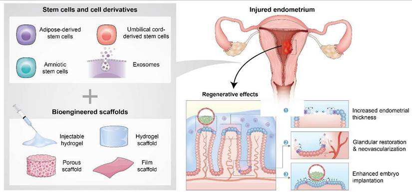 Theranostics Image