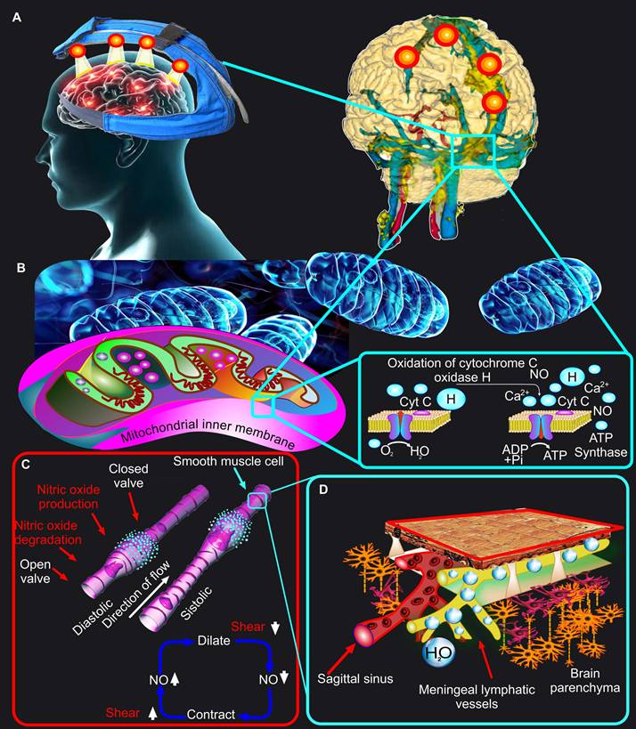 Theranostics Image