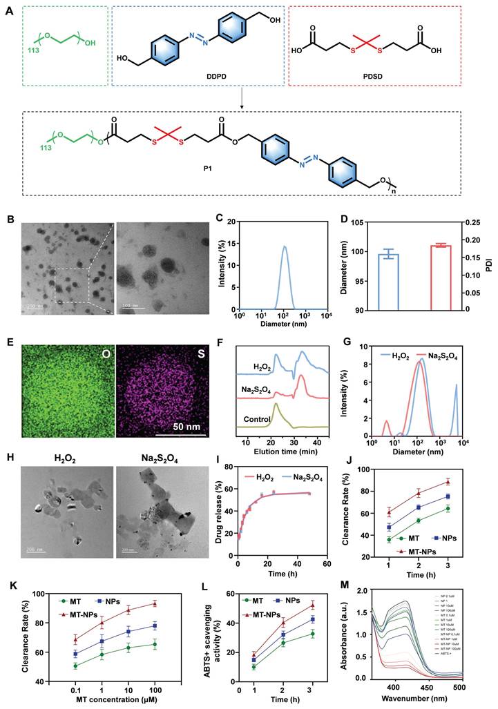 Theranostics Image