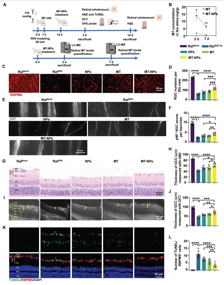 Theranostics Image