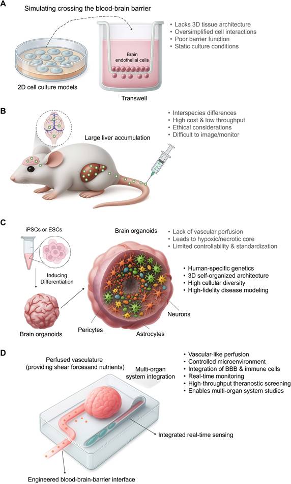 Theranostics Image