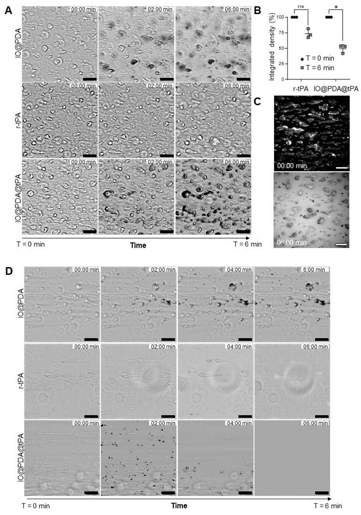 Theranostics Image