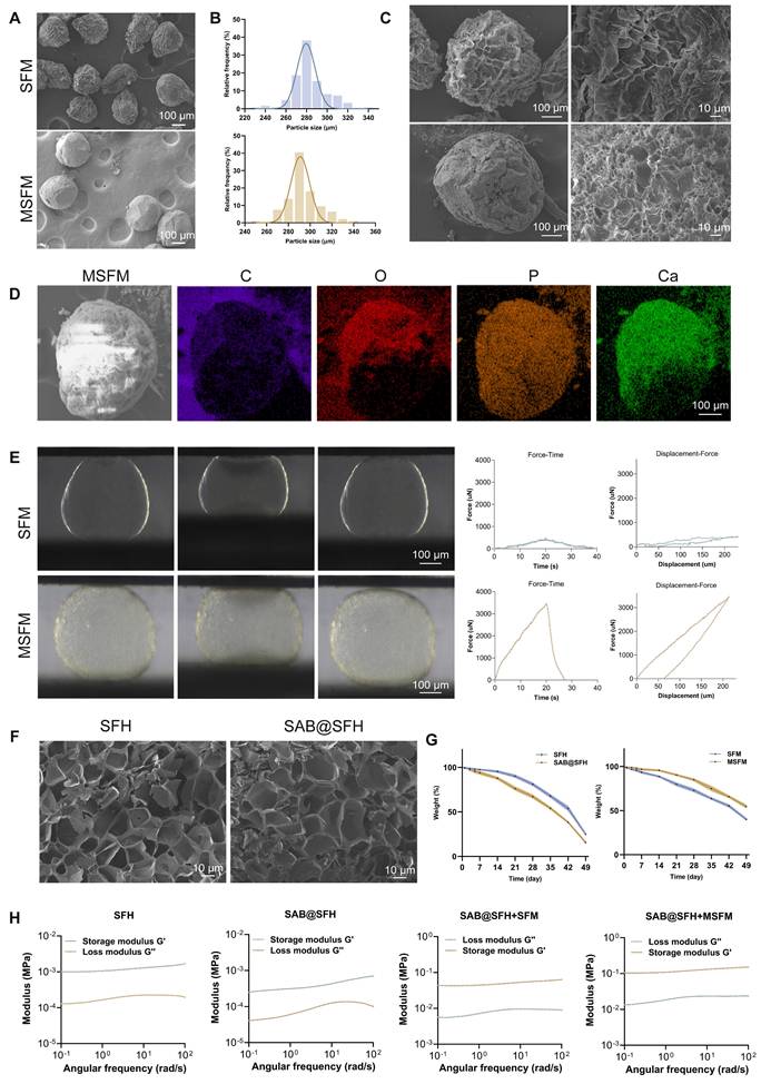 Theranostics Image
