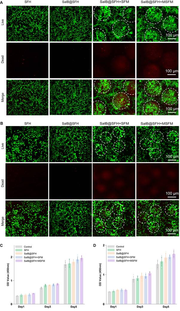 Theranostics Image