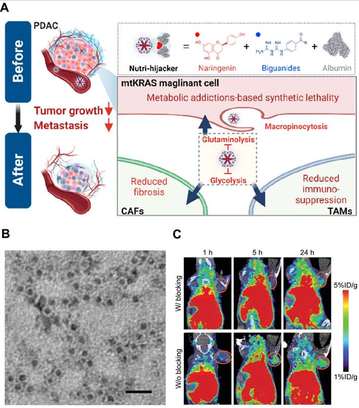 Theranostics Image