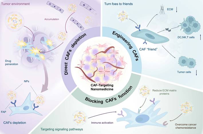 Theranostics Image