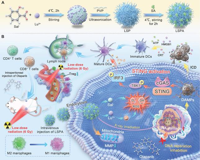 Theranostics Image