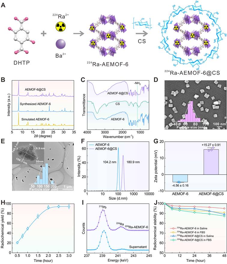 Theranostics Image