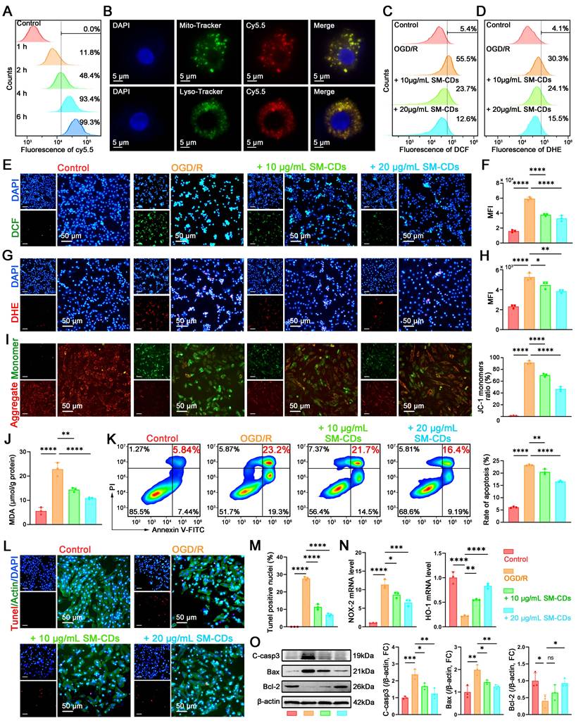 Theranostics Image