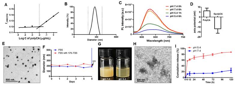 Theranostics Image