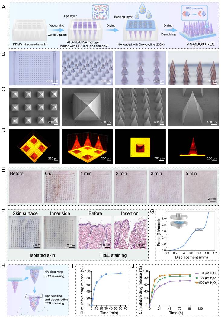 Theranostics Image
