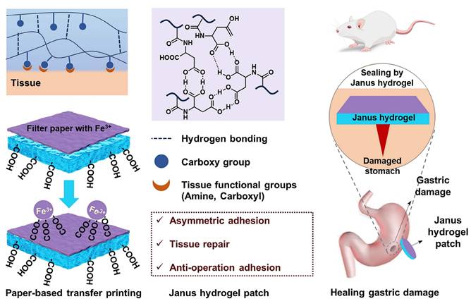 Theranostics Image