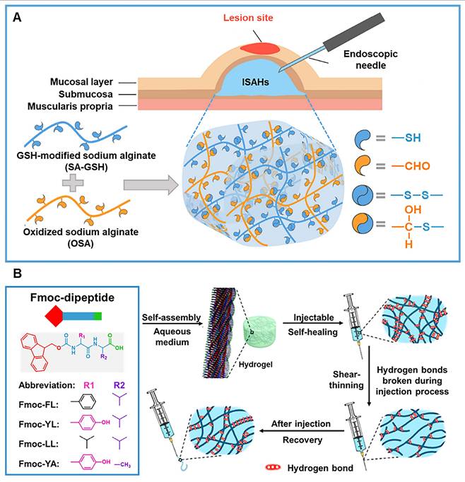 Theranostics Image
